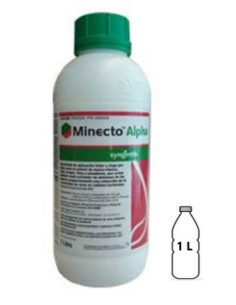 MINECTO ALPHA