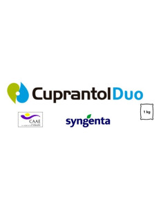 CUPRANTOL DUO 2