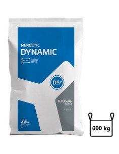 Nergetíc Dynamic DS