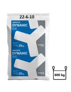 Nergetic Dynamic 22-6-10