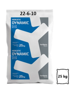 Nergetic Dynamic 22-6-10 2