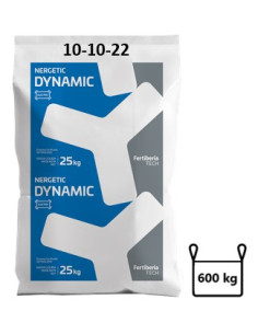 Nergetic Dynamic 10-10-22