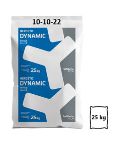 Nergetic Dynamic 10-10-22 2