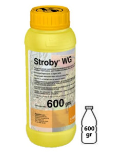 STROBY WG