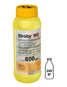 STROBY WG 2
