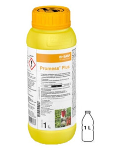 PROMESS PLUS 2