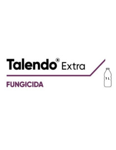 TALENDO EXTRA