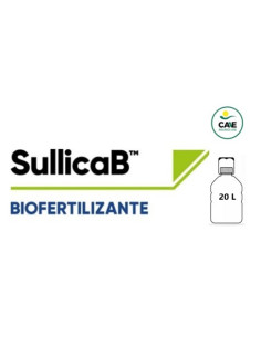 SullicaB