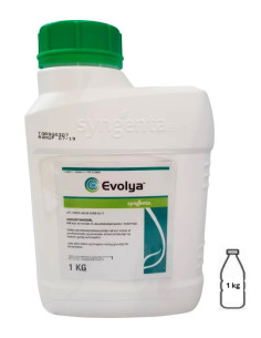 Evolya