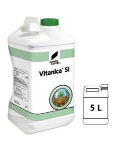 VITANICA Si