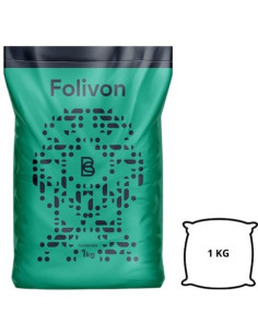 Folivon