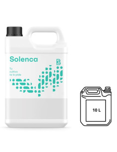 SOLENCA