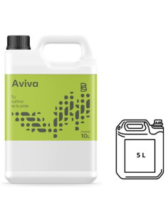 AVIVA 2