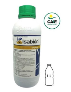 ISABIÓN