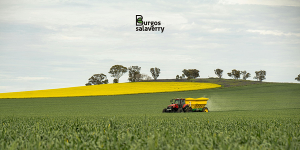 Qué nutrientes aportan los fertilizantes a la tierra